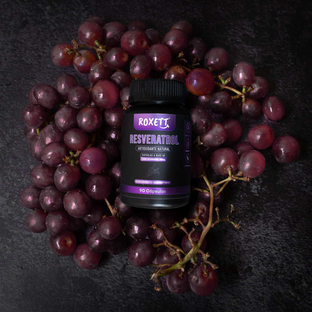 <h2>Calidad que no encuentras en ningún otro lado</h2>